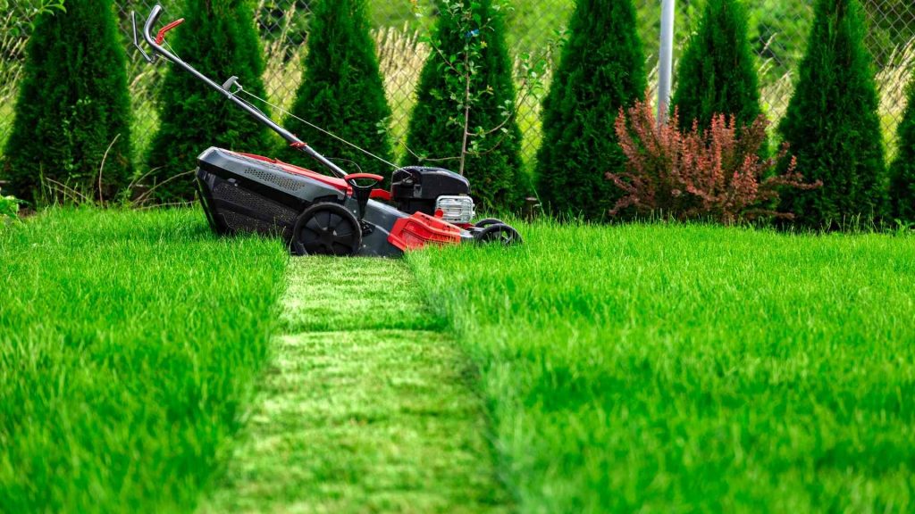 lawn mowing Heidelberg Heights
